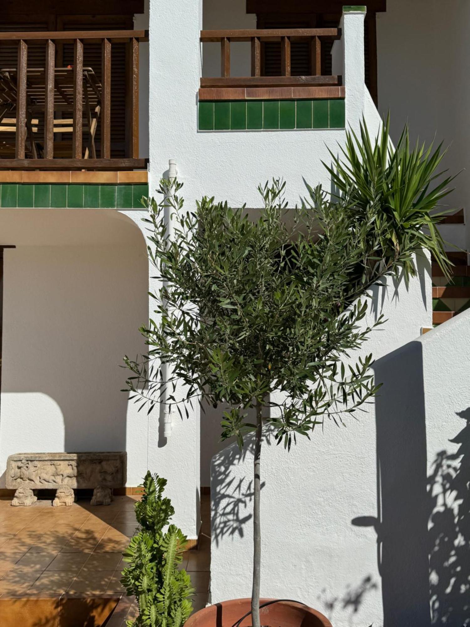 Espectacular Sunny House In The Beach Cunit Extérieur photo